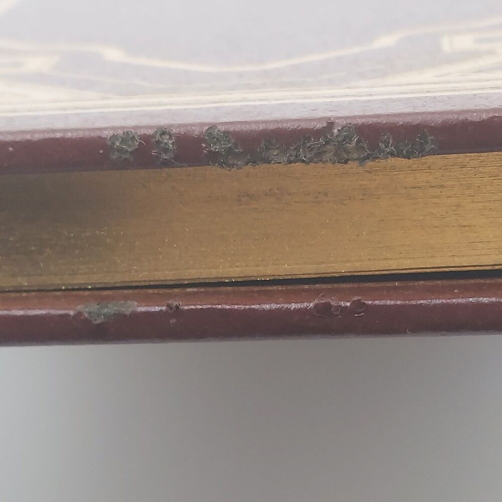 Self-esteem The New Reformation  Robert  H. Schuller 1982 Bonded Leather - Picture 6 of 11
